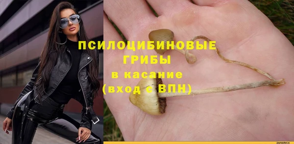 твердый Пестово