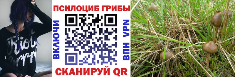 Псилоцибиновые грибы GOLDEN TEACHER Сафоново